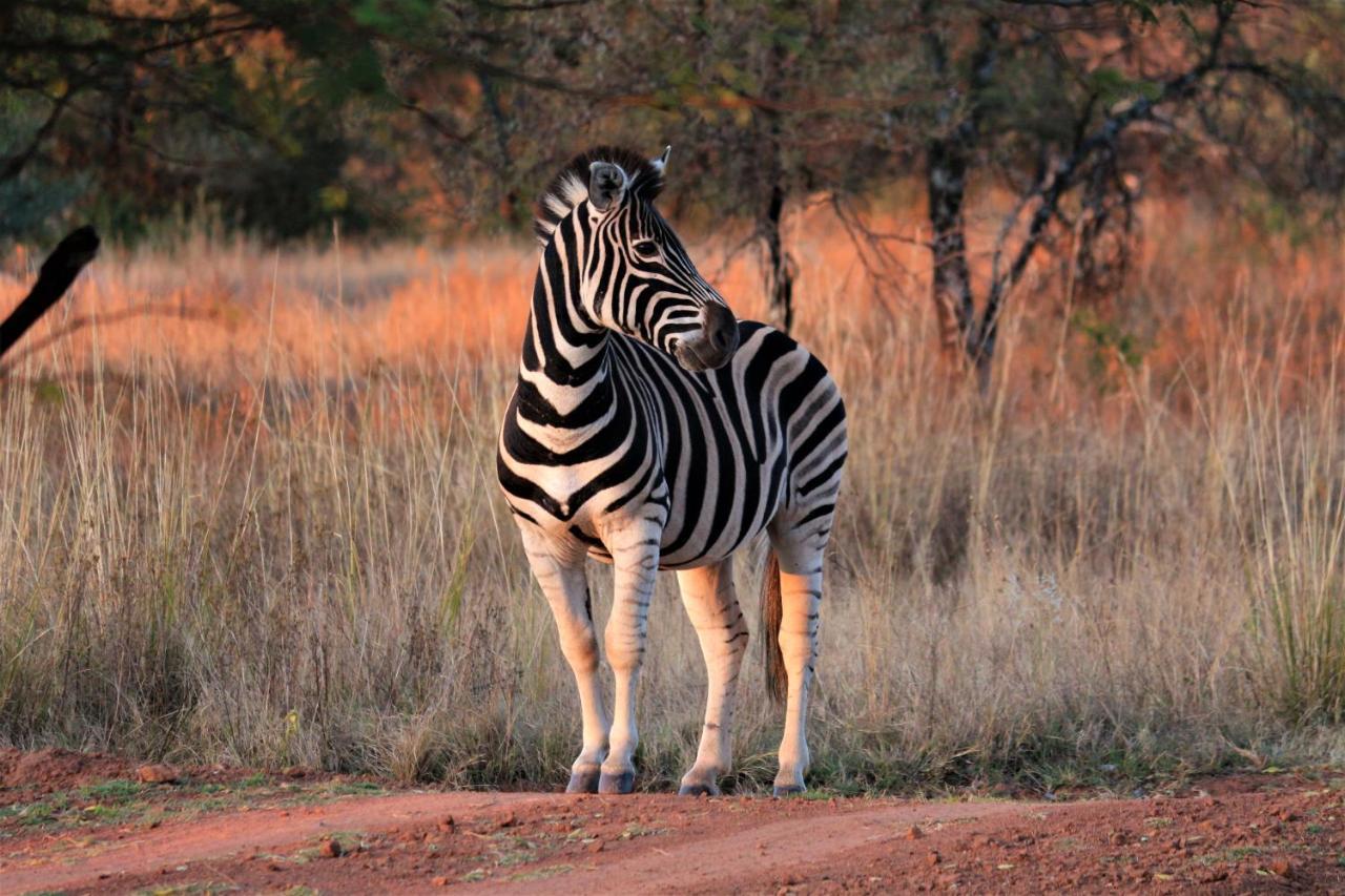 Bass Lake Country Lodge Pretoria-Noord Eksteriør bilde